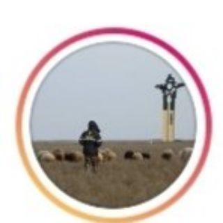 Telegram Tips