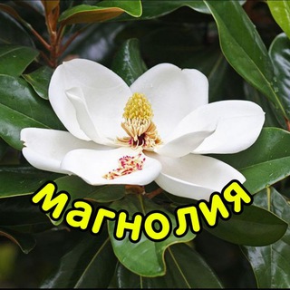 ПОЗДРАВОК