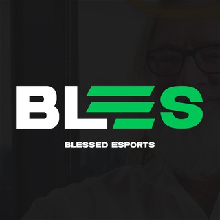 BLES — КІБЕРСПОРТ ТА ІГРИ | BLESSED ESPORTS