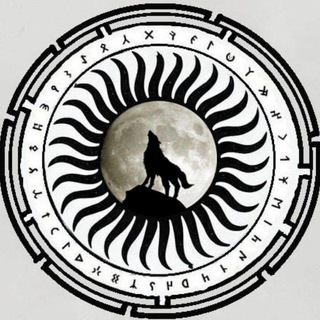 Telegram Tips