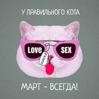 МАРТОВСКИЙ КОТ 