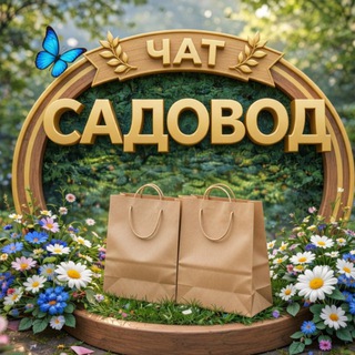 ЧАТ ТК