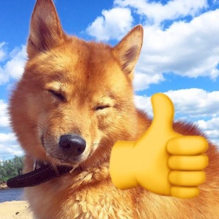 Telegram Tips