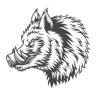 Telegram Tips