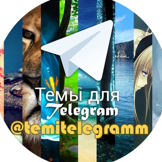 Telegram Tips