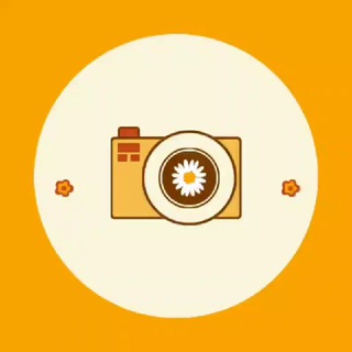 Telegram Tips