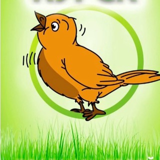 Telegram Tips