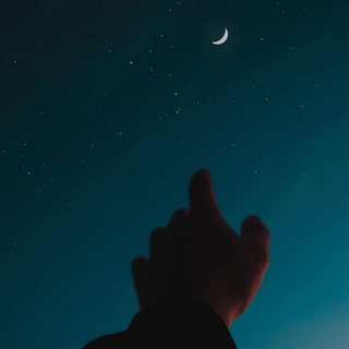 Telegram Tips