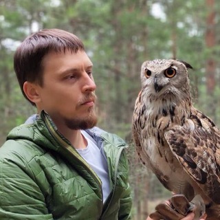 Telegram Tips