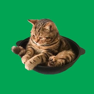 Telegram Tips