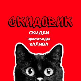 СКИДОВИК