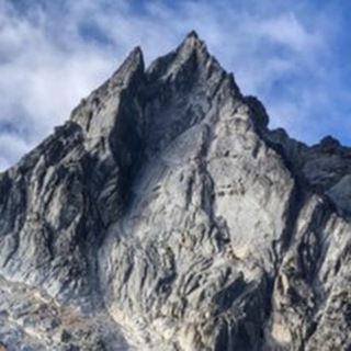 Telegram Tips