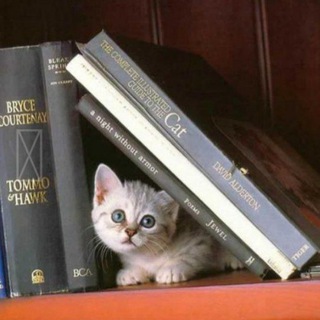  КНИГИ ПСИХОЛОГИЯ  MARIAPSYCARDS