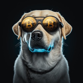 Telegram Tips