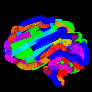 NEUROLOGY, NEURORADIOLOGY, NEUROSONOLOGY & NEUROPHYSIOLOGY
