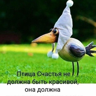 Telegram Tips