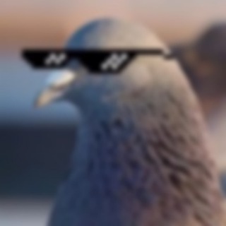 Telegram Tips