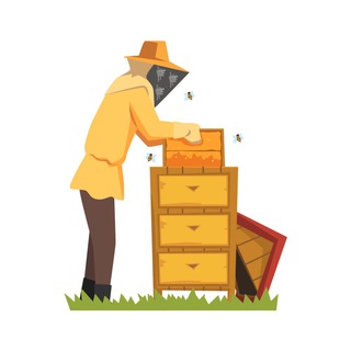 Telegram Tips