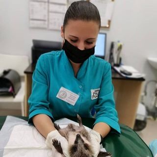 DR.ANZHEL_VET