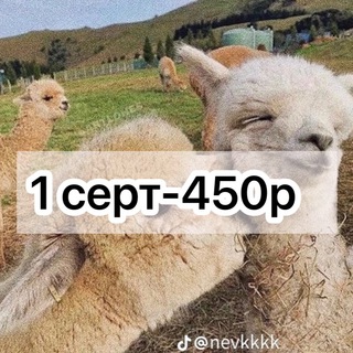 Telegram Tips