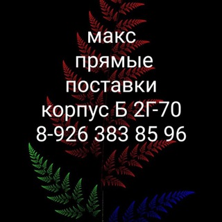 Telegram Tips