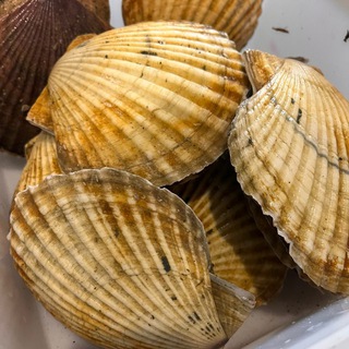 МОРЕПРОДУКТЫ САХАЛИН (ЮЖНО-САХАЛИНСК)