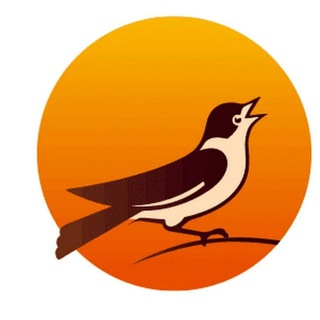 Telegram Tips
