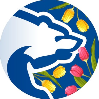 Telegram Tips