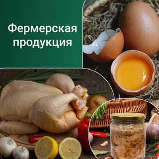 Telegram Tips