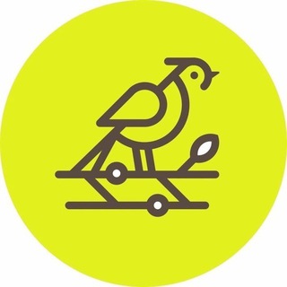 Telegram Tips