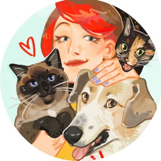 Telegram Tips