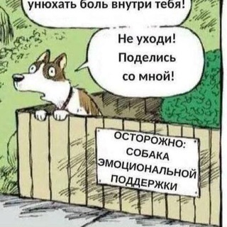Telegram Tips