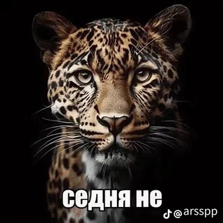Telegram Tips