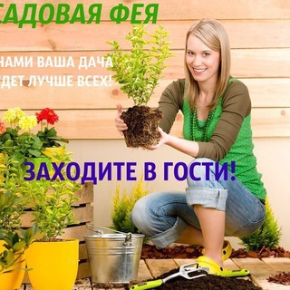 САДОВАЯ ФЕЯ - ДАЧА. САД И ОГОРОД