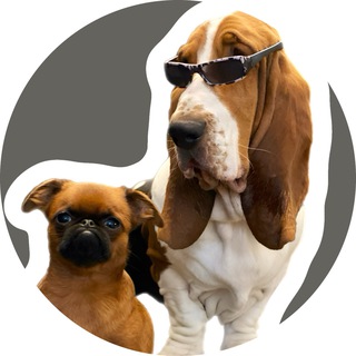 CHUDIKI_DOGS