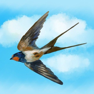 Telegram Tips