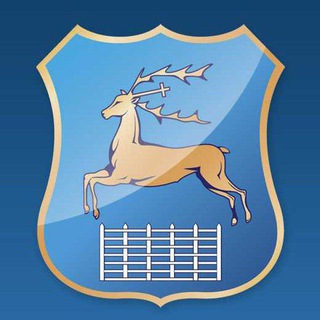 Telegram Tips