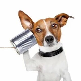 Telegram Tips