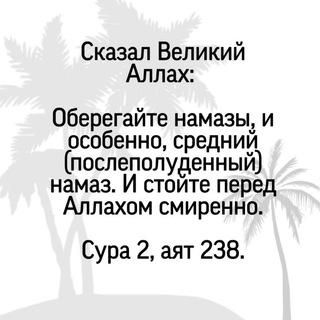Telegram Tips