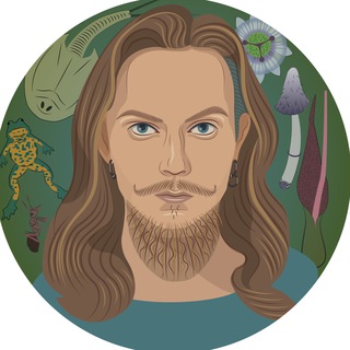 Telegram Tips