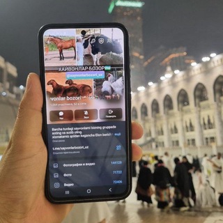 Telegram Tips