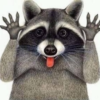Telegram Tips