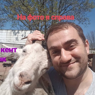 Telegram Tips